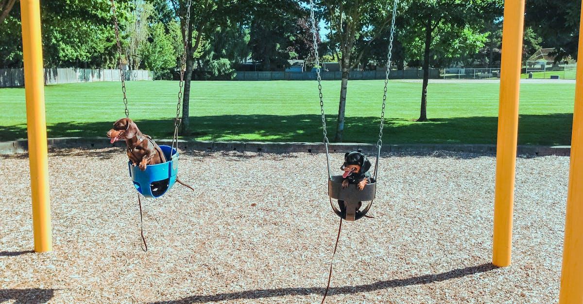 Huśtawki jak z Instagrama: 12 platformowych inspiracji dla nastolatków do ogrodu i na taras