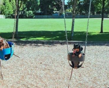 Huśtawki jak z Instagrama: 12 platformowych inspiracji dla nastolatków do ogrodu i na taras